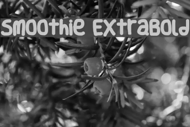 Smoothie ExtraBold Font examples