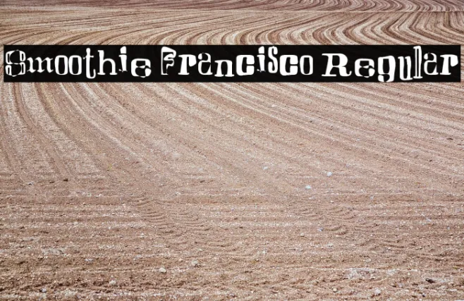 Smoothie Francisco Regular Example 2