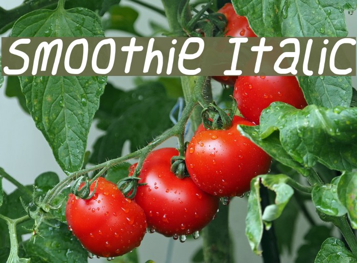 Smoothie Italic Font examples