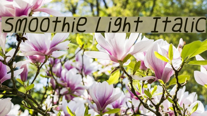 Smoothie Light Italic Font examples