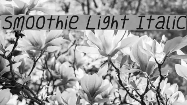 Smoothie Light Italic フォント examples