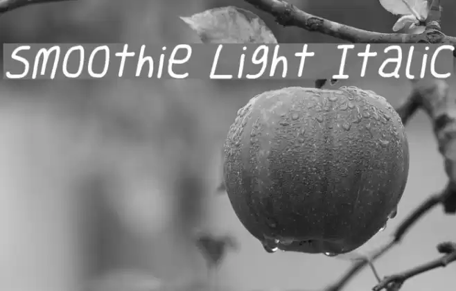 Smoothie Light Italic フォント examples