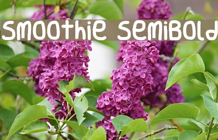 Smoothie SemiBold Font examples