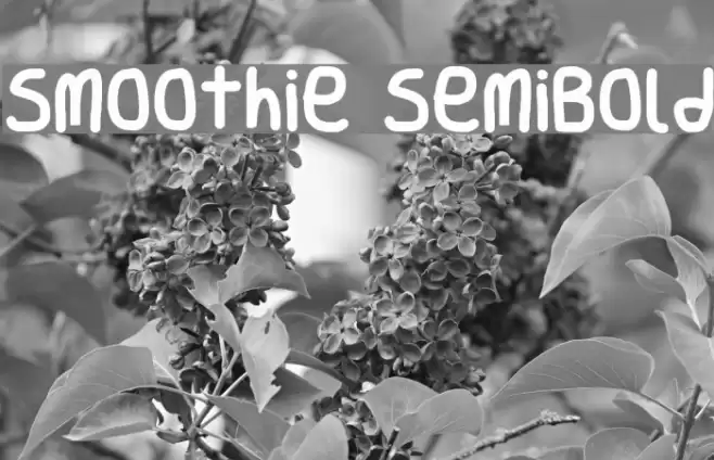 Smoothie SemiBold Fonte examples