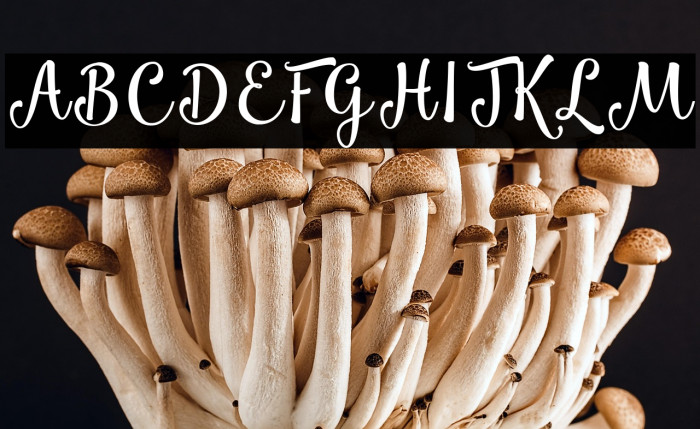 Smoothie Shoppe Example 1