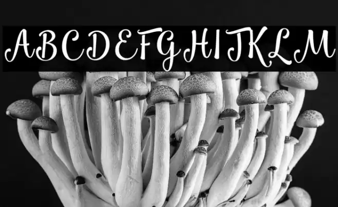 Smoothie Shoppe Font examples