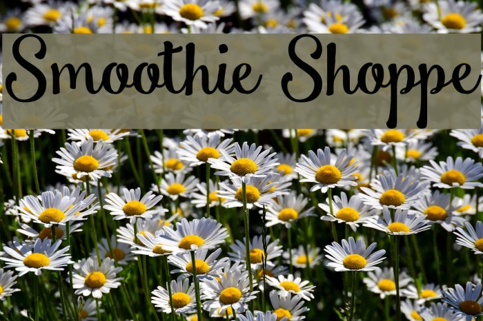 Smoothie Shoppe Example 1