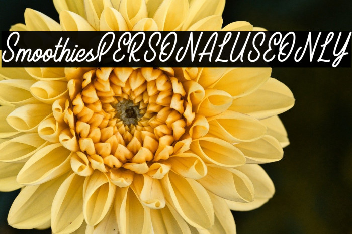 SmoothiesPERSONALUSEONLY Example 1
