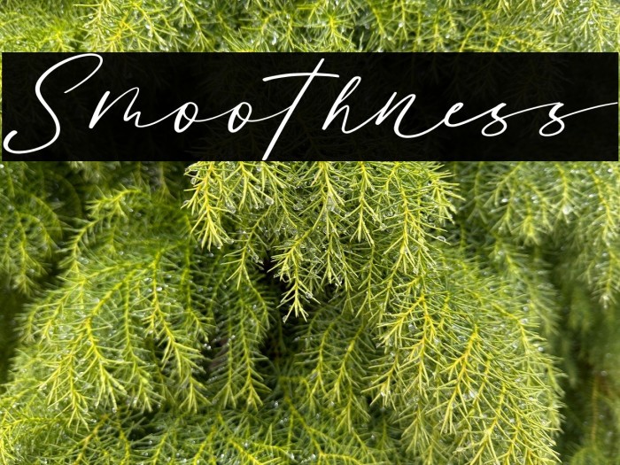 Smoothness Example 2