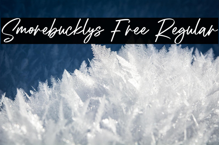 Smorebucklys Free Regular Example 1