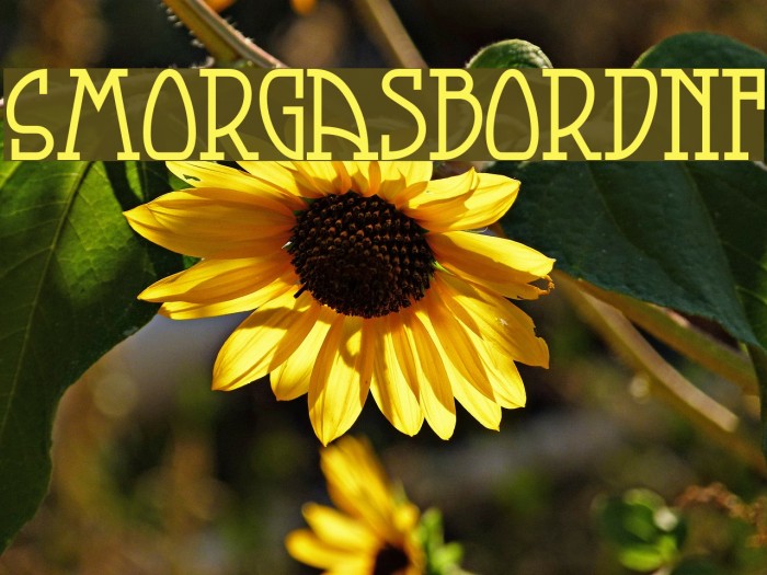 SmorgasbordNF Example 2