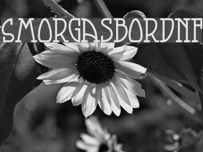 SmorgasbordNF Font examples
