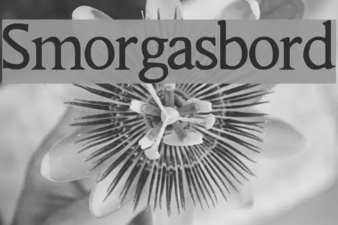 Smorgasbord Font examples