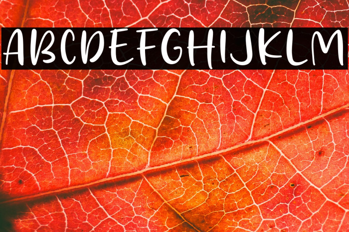 Smoth Melon Example 1