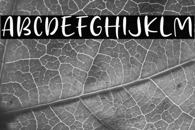 Smoth Melon Fonte examples