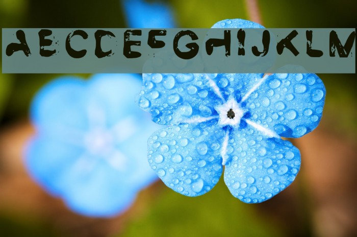 Smudge Demo Regular Example 3