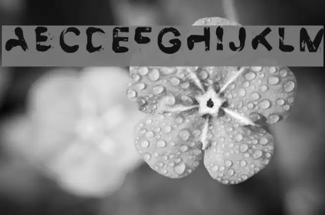 Smudge Demo Regular Font examples