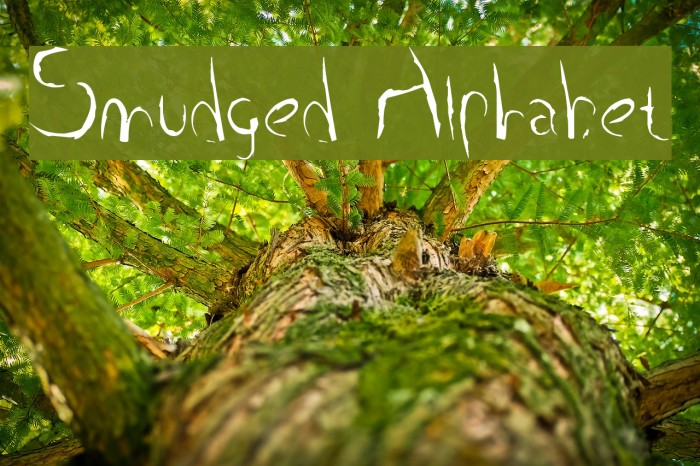 Smudged Alphabet Font examples
