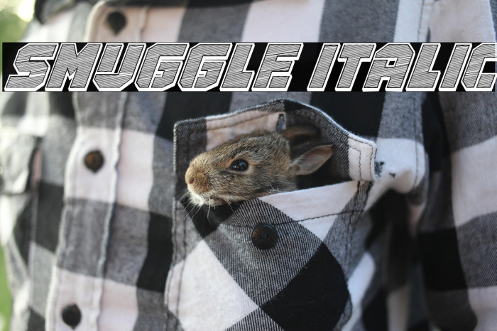 Smuggle Italic Example 2