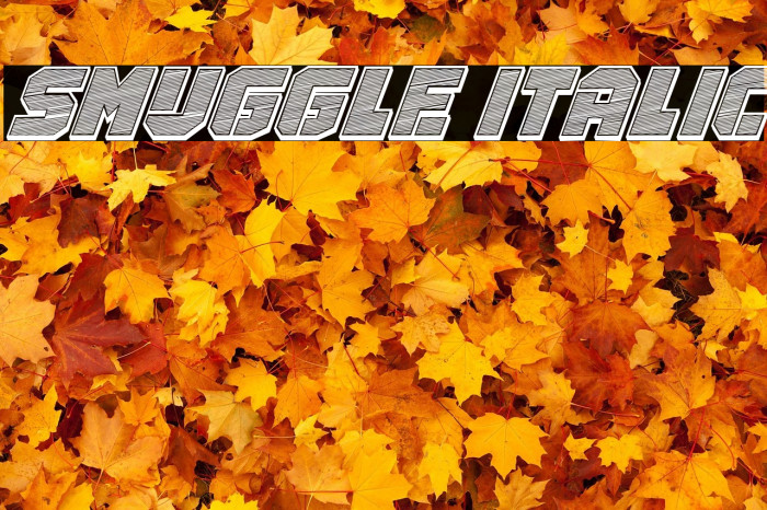 Smuggle Italic Example 3