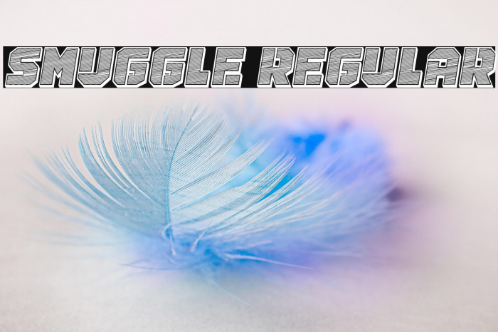 Smuggle Regular Example 2