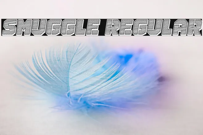 Smuggle Regular Example 2