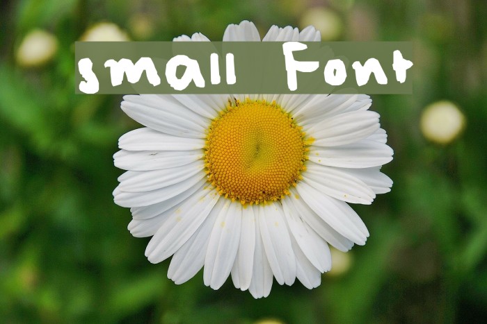 small Font examples