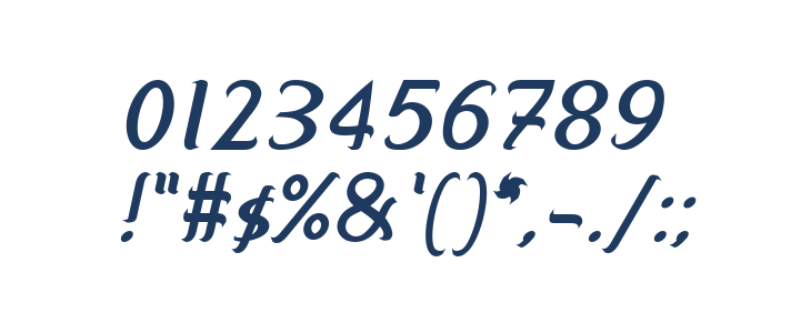 smallburg Italic Other Characters