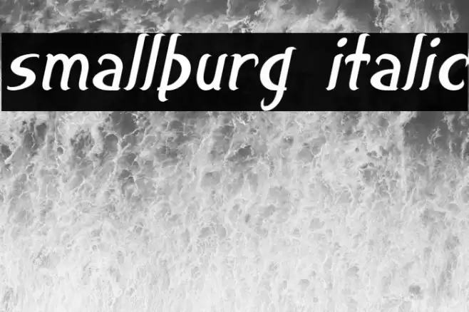 smallburg Italic Font examples