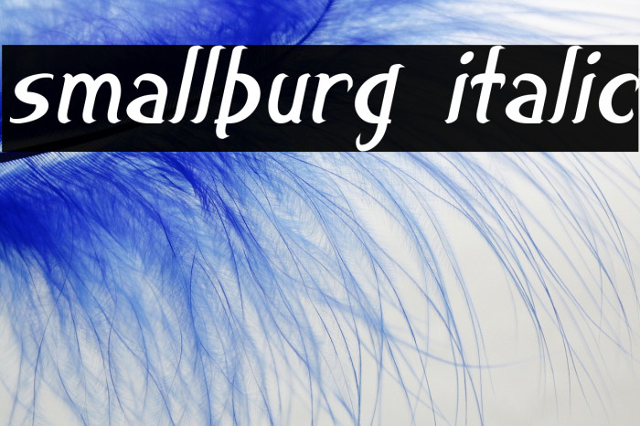 smallburg Italic Example 2