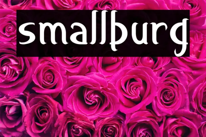 smallburg Example 3