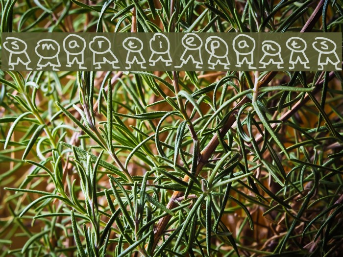 smartiepants Example 3