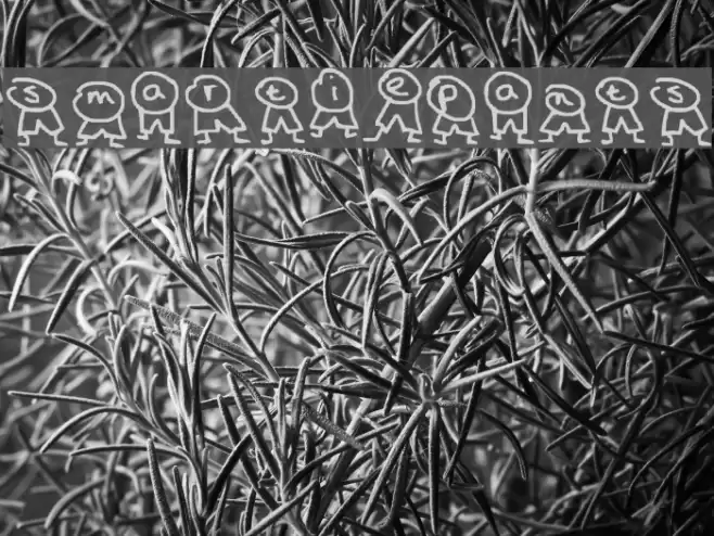 smartiepants Font examples