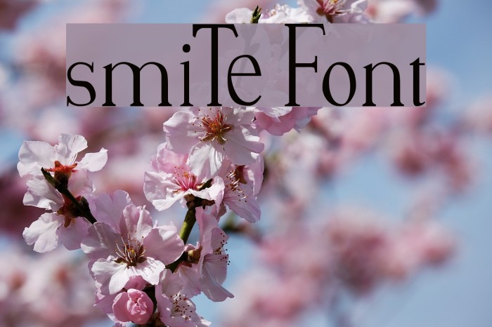 smiTe Font examples
