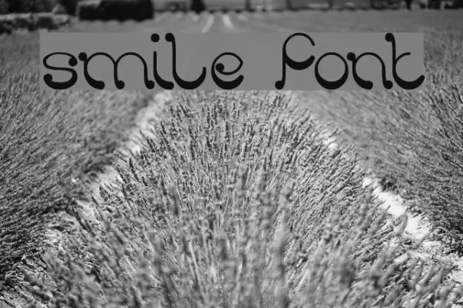 smile Font examples