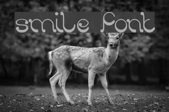 smile Font examples