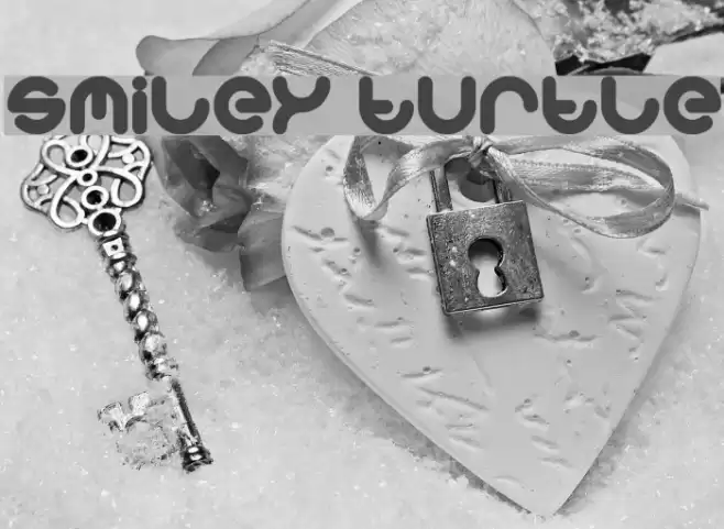 smiley turtle Font examples
