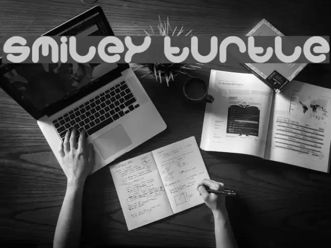 smiley turtle Font examples