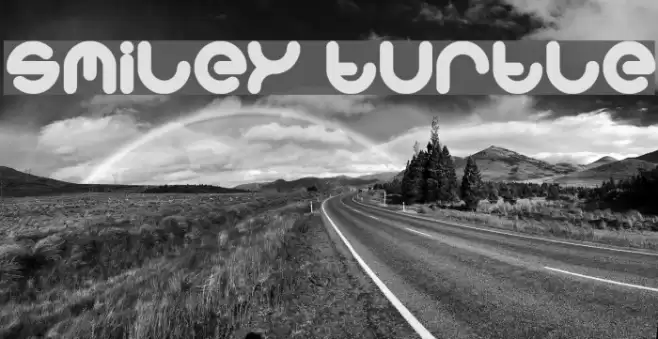smiley turtle Font examples