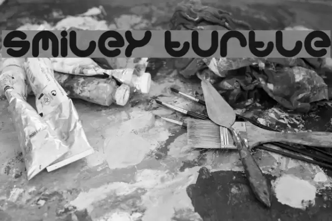 smiley turtle Font examples