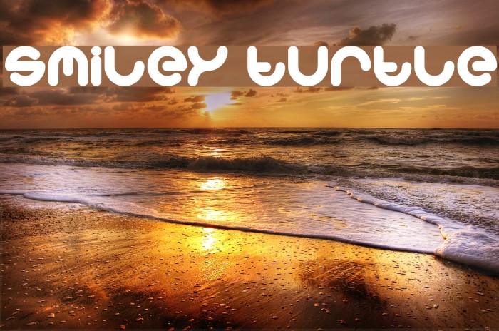smiley turtle Font examples