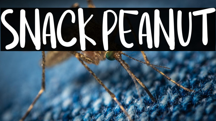 SNACK PEANUT Example 2