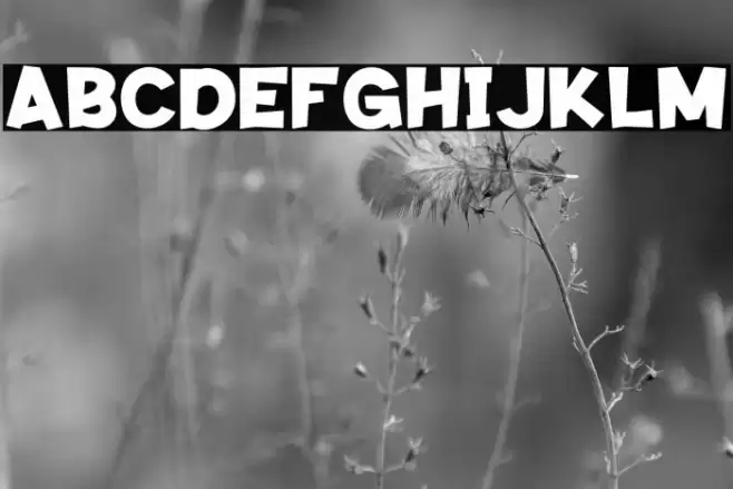 SNACKID Font examples