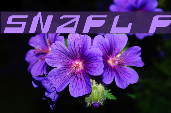 SNAFU Font examples