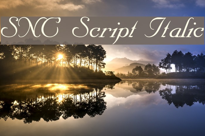 SNC Script Italic Font examples