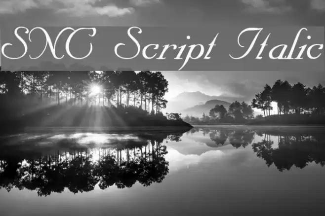 SNC Script Italic Schriftart examples