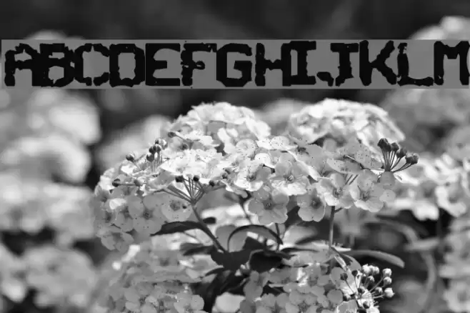 SNCBishop Font examples