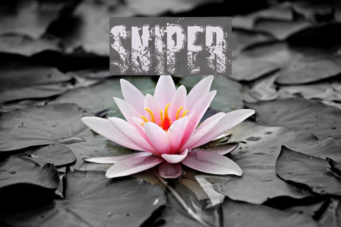 SNIPER Font - FFonts.net