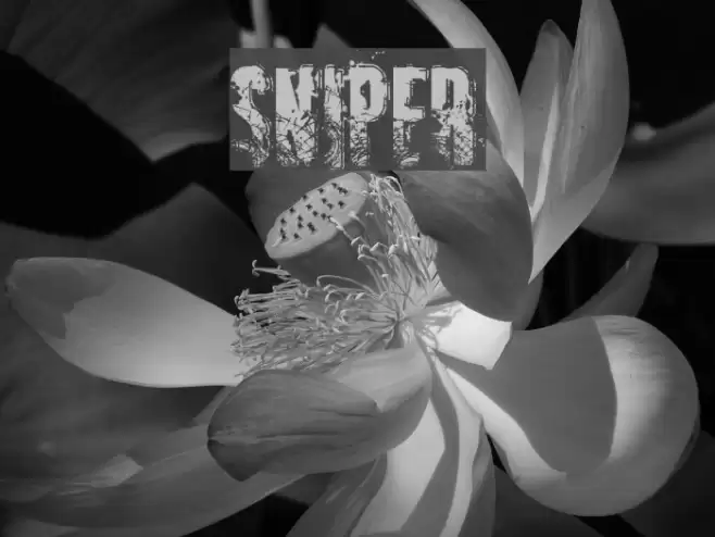 SNIPER Font examples