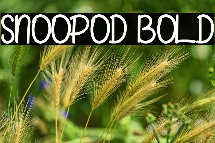 SNOOPOD Bold Example 1